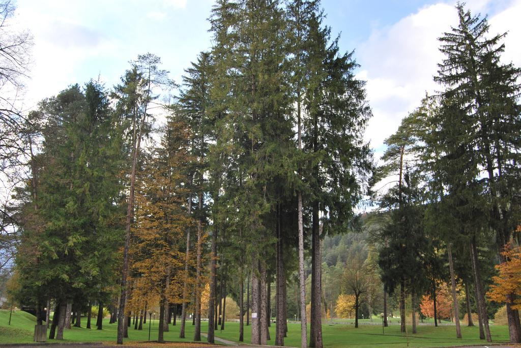 Ferienwohnung Residenza Finestra Sul Parco Comano Terme Exterior foto